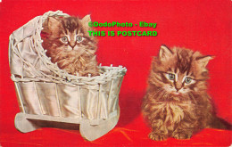 R413296 Two Kittens. J. Salmon. Postcard. 1960 - World