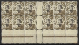 INDO - CHINA....." 1922..".....GUTTER BLOCK X 12......MNH......... - Unused Stamps