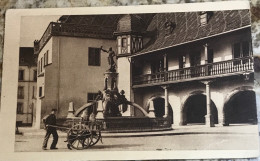 Attelage Avec Un Chien à Colmar Fontaine Schwendi - Sonstige & Ohne Zuordnung