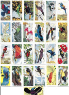 BC37 - SERIE COMPLETE 25 CARTES - TROPICAL BIRDS - Other & Unclassified