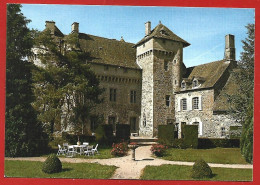 Ally (15) Château De La Vigne XVe S. La Cour Intérieure 2scans éditions De Luxe - Other & Unclassified