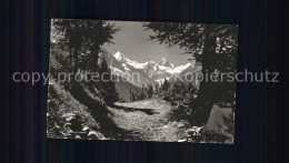12054307 St Luc Gabelhorn Mt. Durand Cervin St-Luc - Autres & Non Classés