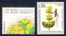 Montenegro 2018 Flora Plants Flowers Sphaerosarpos Texanus Gentiana Lutea Lincura, Set MNH - Montenegro