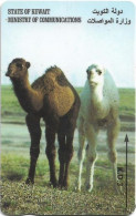 Kuwait - (GPT) - Young Camels - 36KWTH (Normal 0, Flat Top '3), 1995, Used - Kuwait
