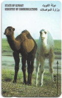 Kuwait - (GPT) - Young Camels - 36KWTH (Dashed Ø), 1995, Used - Kuwait