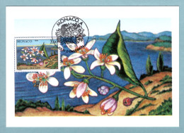 Carte Maximum Monaco 1990 - Les Quatre Saisons Du Citronnier - Printemps - YT 1749 - Cartoline Maximum