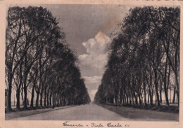 Caserta Viale Carlo III - Caserta