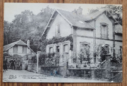 CPA (Seine Et Marne) Rare, Originale, Treuzy-Levelay, Villa Des Roses - Bezanleu, Animations, éd. Lioret - Autres & Non Classés