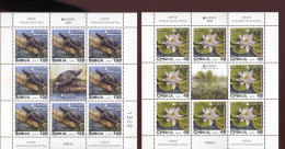 Serbia 2024. EUROPA, Underwater Fauna And Flora, Water Lily, Turtle, Mini Sheet, MNH - Turtles