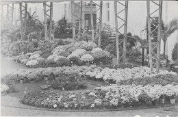 EXPOSITION UNIVERSELLE INTERNATIONALE De GAND 1913 Floralies Gantoises 26 Avril 4 Mai - Tentoonstellingen