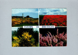 Fleurs De Bretagne - Bretagne