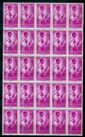 Guinea Española 1955. Edifil 344-46 X 25 ** MNH. - Guinea Española