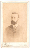 Fotografie Wilhelm Neuss, Ischl, Franzensallee 4, Portrait Bürgerlicher Herr Mit Vollbart  - Anonymous Persons