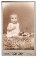 Fotografie Corona, Zwickau I. S., Münzstrasse 8, Portrait Baby Sitzt Auf Fell  - Anonyme Personen