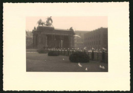 Fotografie Unbekannter Fotograf, Ansicht Berlin, Möwen Am Kaiser-Wilhelm-Nationaldenkmal  - Places