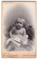 Fotografie Tr. Friedemann, Dresden-A., Rosenstr. 48, Portrait Baby Auf Fell Posierend  - Personnes Anonymes