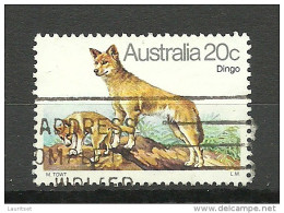 AUSTRALIA Dingo O - Chiens