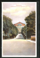 AK Bayreuth, Auffahrtstrasse Zum Festspielhaus  - Bayreuth