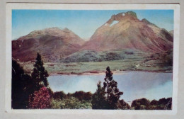 Carte Postale - Parc National Nahuel Huapi, Bariloche, Argentine. - Argentine