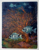 Carte Postale - Poisson Nageant Dans Un Corail. - Fish & Shellfish
