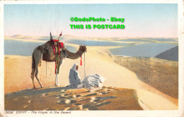 R413990 Egypt. The Prayer In The Desert. Lehnert And Landrock - World