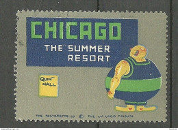 USA Chicago - The Summer Resort  Vignette Advertising Poster Stamp Reklamemarke (*) - Cinderellas