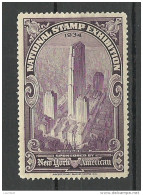 USA 1934 Vignette Advertising National Stamp Ehxibition Rockefeller Center New York (*) - Erinnophilie