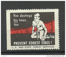 USA Ca 1940 Vignette Prevent Forest Fires Usa And State Forest Services MNH - Erinnofilia