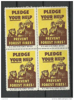 USA 1938 Vignette Prevent Forest Fires Usa And State Forest Services In 4-block MNH - Erinnofilia