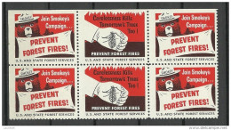 USA 1938 Vignette Prevent Forest Fires Usa And State Forest Services In 6-block MNH - Erinnophilie