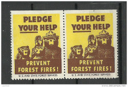 USA 1938 Vignette Prevent Forest Fires In Pair Usa And State Forest Services (*) - Erinnofilia