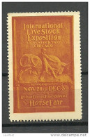 USA 1914 Vignette Advertising Int. Live Stock Exhibition Chicago & Horse Fair MNH - Ungebraucht