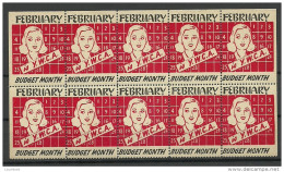 USA Vignette  Y.W.C.A.  Budget Month In 10-block MNH - Erinnophilie