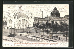 AK Düsseldorf, Internationale Kunst Und Grosse Gartenbau-Ausstellung 1904, Palmenhaus, Kunstpalast  - Exhibitions