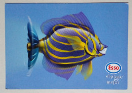 Carte Postale - Poisson Dans La Publicité D'une Station-service. - Poissons Et Crustacés