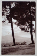 Carte Postale - Paysage De Montagne. - Photographie