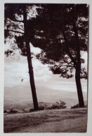 Carte Postale - Paysage De Montagne. - Photographs