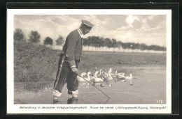 AK Kriegsgefangenschaft, Russe Bei Der Gänsezucht  - War 1914-18