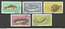 Romania 1960 = 5 Werte Aus Satz Michel 1927 - 1933 O Fische Fishes - Pesci