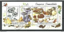 ROMANIA Rumänien 1994 Michel Block 292 O Pilze Mushrooms - Mushrooms