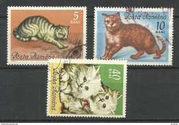 Romania 1965 Michel 2387 - 2389 Cats Katzen O - Domestic Cats