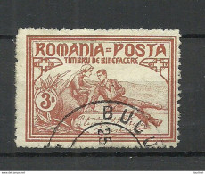ROMANIA Rumänien 1906 Michel 169 A O - Usati