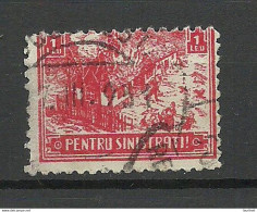 ROMANIA ROMANA CHarity Wohlfahrt Tax Revenue Pentru Sinistrati For Flood Victims 1 Leu O - Revenue Stamps