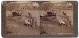 Vue Stéréoscopique-Photo Underwood & Underwood, New York,  Vue De Ägypten, Sakieh-fontaine, Ochse Treibt Fontaine An  - Stereoscoop