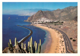 73904343 Playa De Las Teresitas Tenerife Islas Canarias ES Las Teresitas Beach F - Sonstige & Ohne Zuordnung