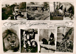 73865762 Gelsenkirchen Ruhr Zoo Flusspferde Elefanten Loewen Schimpansen Baeren  - Gelsenkirchen