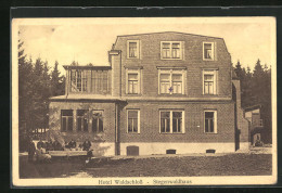 AK Stegenwaldhaus, Hotel Waldschloss  - Other & Unclassified