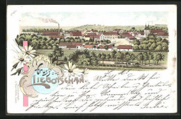 Lithographie Liebotschan, Blick über Die Stadt  - Tchéquie