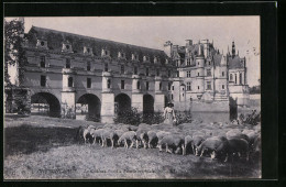 CPA Chenonceaux, Le Chateau, La Facade Orientale  - Chenonceaux