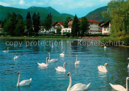 72751902 Bad Wiessee Kuranlagen Hirschberg Bad Wiessee - Bad Wiessee